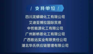 2025年（第四届）硫磷及新能源产业研讨会圆满完成